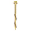 Coach Screws