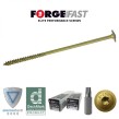 Timber Screws