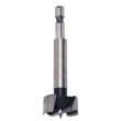 Hinge Boring Bits