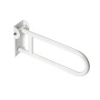 Hinged Grab Rails