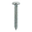 Pan Head Self Tapping Screws