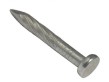 Galvanised Square Twist Nails